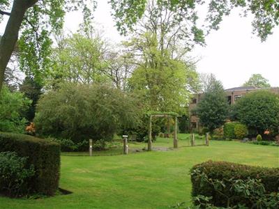 Picture 16